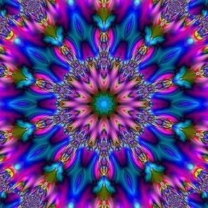 Meet your Posher, Jeannine